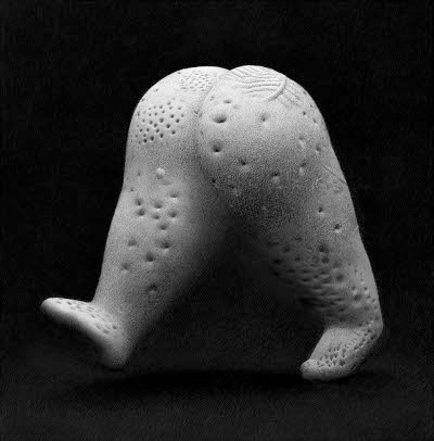 foot